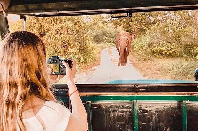 08 - Day Classic Tour with English speaking drive and Private luxury vehicles - Sigiriya Area Day: Polonnaruwa Culture Plus Elephant Country