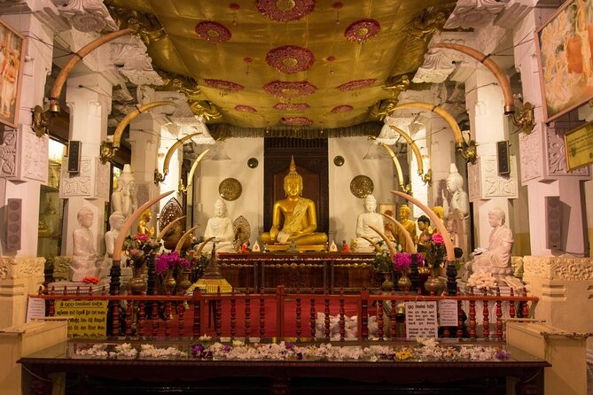 08 Nights in Magical Sri Lanka - Key highlights worth caring about