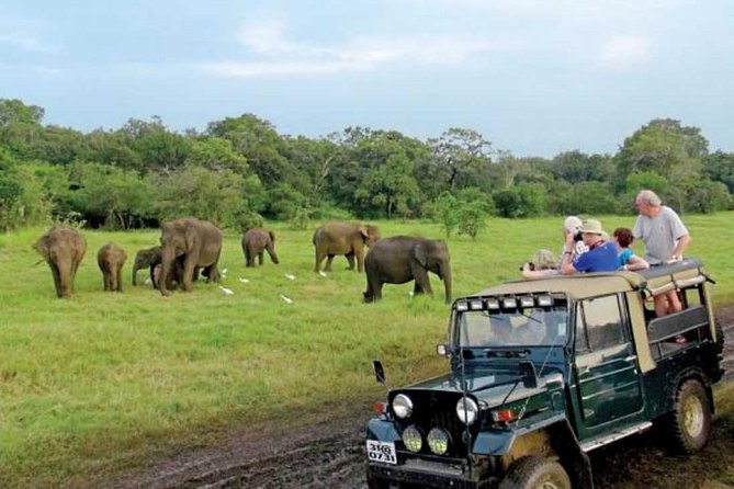 08 Nights in Magical Sri Lanka - Dambulla caves, a spice garden stop, and Kandy’s cultural show