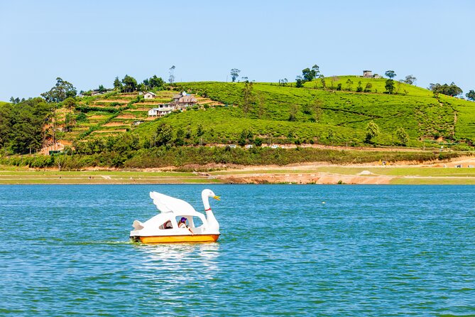 09 Days in Sri lanka - Major Attractions - Yala safari from the main entrance: animals and birdlife on schedule