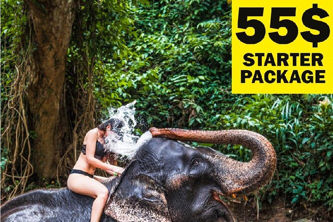 10-Day Sri Lanka Escape – Culture, Wildlife & 3 stars Hotels - Key highlights at a glance