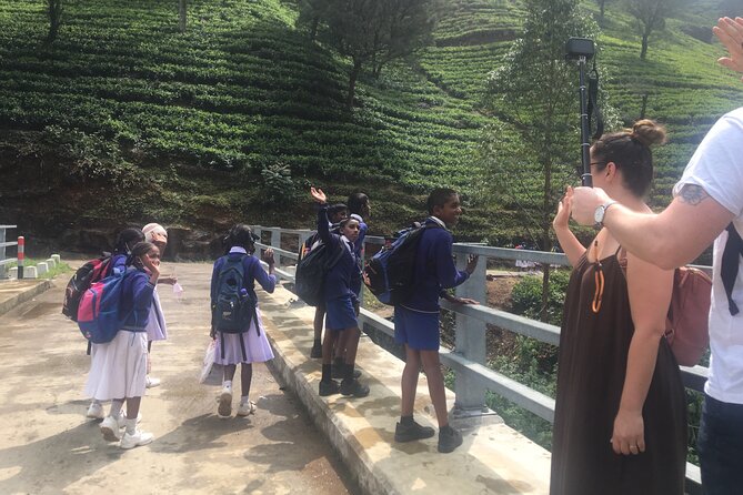10-Day Sri Lanka Escape – Culture, Wildlife & 3 stars Hotels - Price and logistics: what you’re really paying for