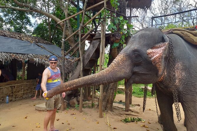 12 Days Sri Lanka Island Adventure and Wild Tour - Yala National Park: safari in the evening, plus BBQ