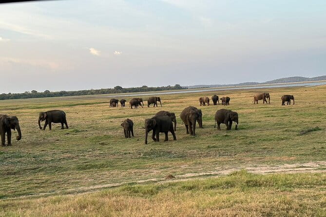 12 Days Tour Grand Discovery of Sri Lanka - Elephants, a village lunch on lotus leaves, and the Sigiriya climb