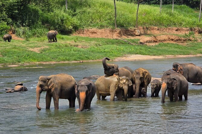 12 Days Tour Grand Discovery of Sri Lanka - Day 1 in Colombo and the Negombo Lagoon first calm hit