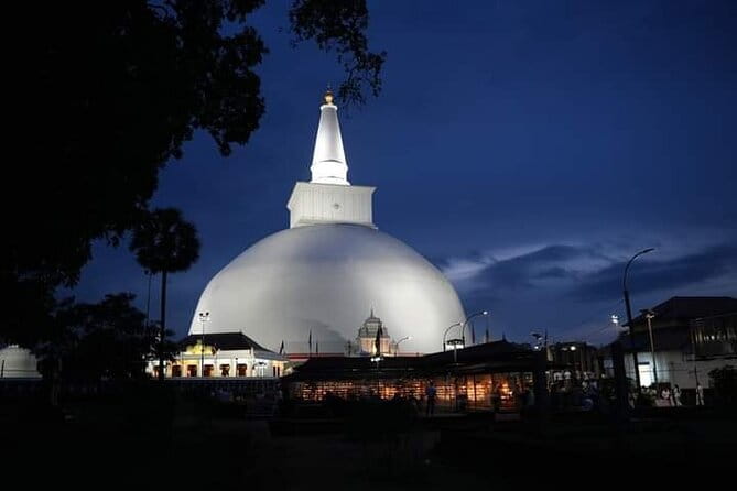 14 Days/ 13 Nights -Sri Lanka Tour on Culture, Wildlife & Beaches - Negombo Beach to the Fish Market, start with sea life