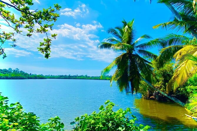 14 Days/ 13 Nights -Sri Lanka Tour on Culture, Wildlife & Beaches - Sigiriya Lion Rock and Polonnaruwa, Sri Lanka’s big “wow” day