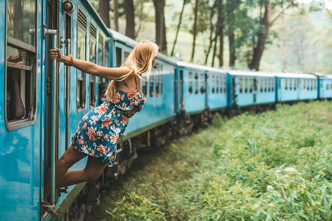 2 Day Tour of Yala & Ella with Hill Country Scenic Train Ride - All Inclusive - Yala National Park safari at first light, plus the Day 1 hit list