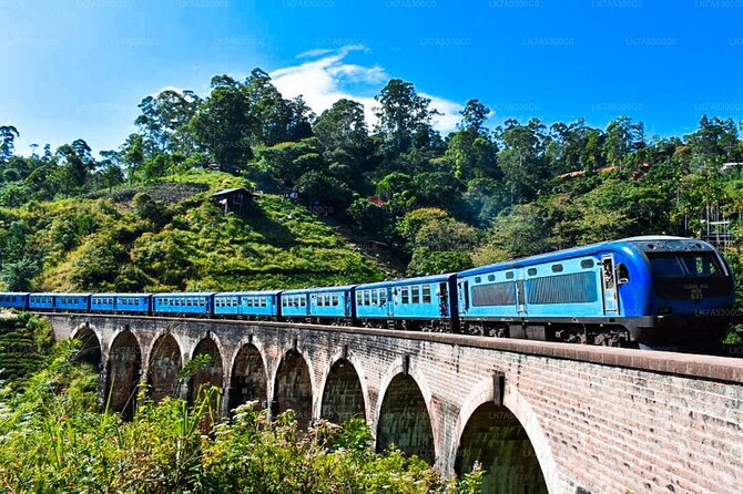 2 Day Tour of Yala & Ella with Hill Country Scenic Train Ride - All Inclusive - Kelliebedde Tea Factory: not just tea talk