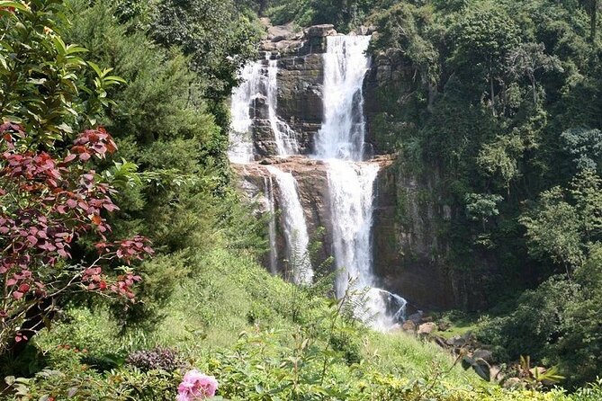 2 Day Tour of Yala & Ella with Hill Country Scenic Train Ride - All Inclusive - Communication and service: where the tour wins emotionally