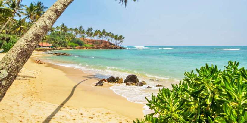 2-Day Whale Watching & Southern Sri Lanka Tour - How this 2-day tour feels: whales, forts, and real nature