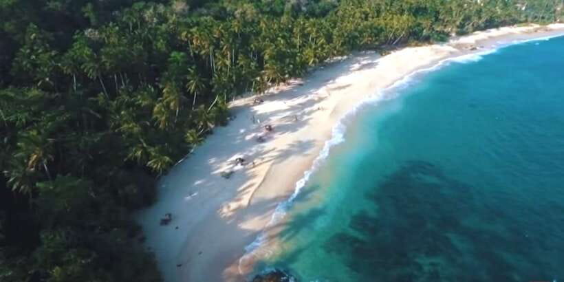 2-Day Whale Watching & Southern Sri Lanka Tour - Day 2: Mirissa whale watching, what to look for and how to prepare