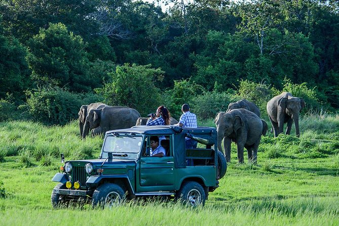 2 Days Tour of Double Safari (Yala & Udawalawe) - All Inclusive - A tight 2-day loop: Yala and Udawalawe in one trip