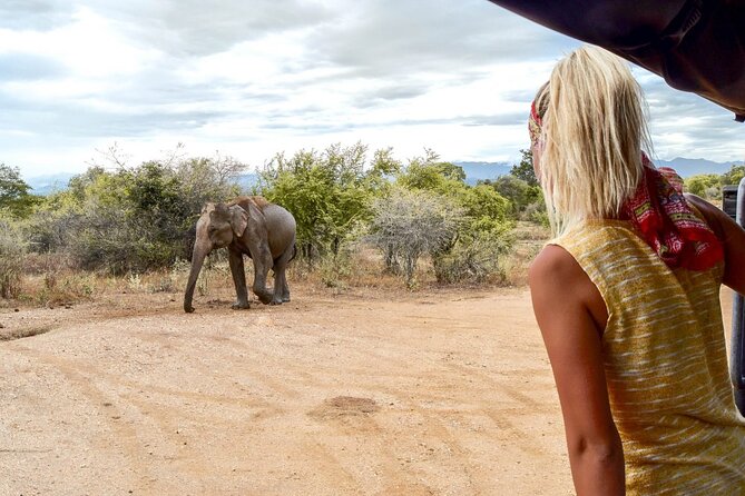 2 Days Tour of Double Safari (Yala & Udawalawe) - All Inclusive - The Yala hotel night: dinner and breakfast included