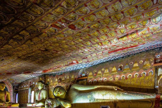 2 Night /3 Days-Highlights of Sri Lanka (Days Can be extended) - Day 1: Kandy, Pinnawala Orphanage, and a Tea Factory Visit