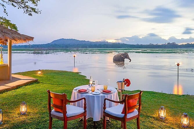 2 Night /3 Days-Highlights of Sri Lanka (Days Can be extended) - Price and value: what $175 covers, and what it does not