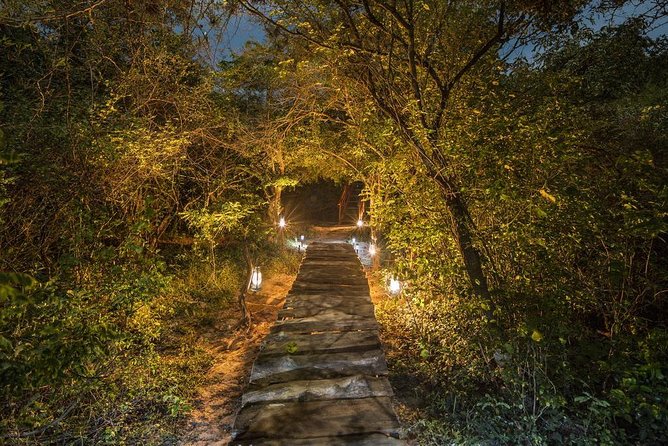 2 Nights All Inclusive Treehouse Safari in Yala with transfers - Day 2 Morning in Nimalawa: A Lake Walk for Birds and Quiet Views