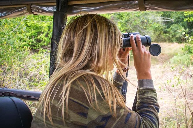 2 Nights All Inclusive Treehouse Safari in Yala with transfers - Bundala National Park Safari in the Afternoon: Wetlands and Serious Birdlife