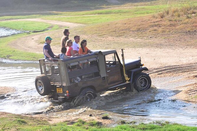 3 Days Private Tour of Yala Safari/ Ella/ Kandy - All Inclusive - Day 3: Temple of the Tooth, Peradeniya Gardens, and Kandy viewpoints with craft stops
