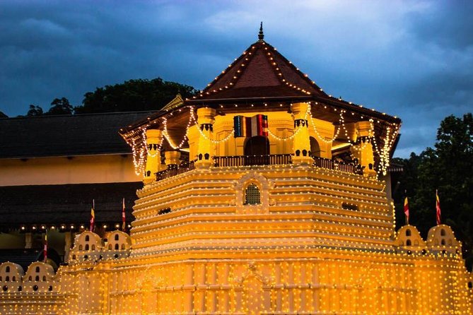 3 Days Tour to Kandy, Nuwara Eliya & Sigiriya - Why a private driver makes Kandy, tea country, and Sigiriya feel easier