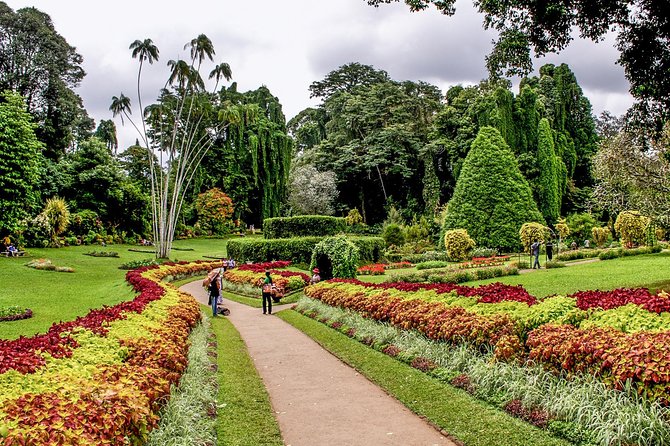 3 Days Tour to Kandy, Nuwara Eliya & Sigiriya - Tickets, meals, and what to budget so the trip stays smooth