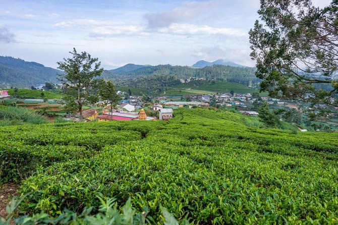 3 Days Tour to Kandy, Nuwara Eliya & Sigiriya - Is $400 per person a good deal for this 3-day private circuit?
