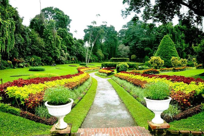3 Days Tour to Kandy Nuwara Eliya & Sigiriya from Colombo - Should you book this 3-day Kandy Nuwara Eliya and Sigiriya tour?