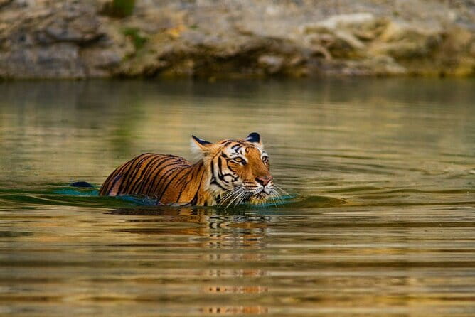5 Day Sri Lanka Tour : Including Temple of Tooth & Sigiriya Trip - Transport Comfort and Your Guide Experience