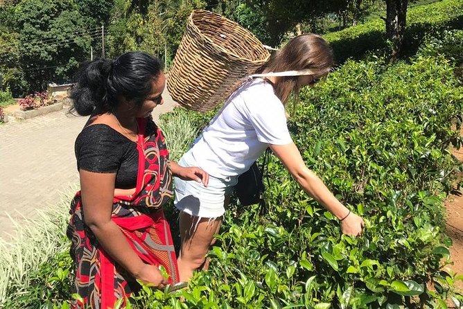 5 Days Tour in Sri Lanka (Hotels with Breakfast & Luxury Car) - Day 3: Little Adam’s Peak, Ravana Falls, Buduruwagala, and Yala Safari