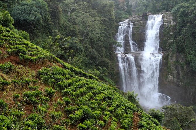 6 Days Nature And Culture Tour - Quick hits you’ll feel from Day 1