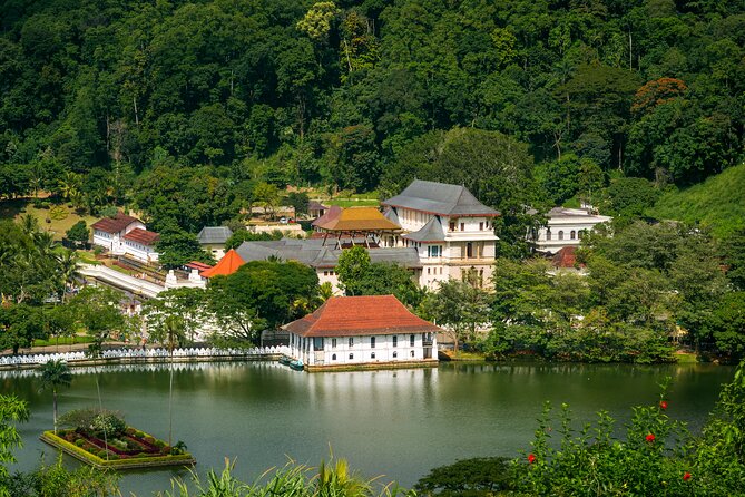 6 Days Private Vehicle with English Speaking Chauffeur - Day 2 From Gregory Lake to Nuwara Eliya: Temples, Tea Country, and Hill Air