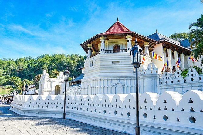 6 Days Tour of Sri Lanka - Key things that make this tour work