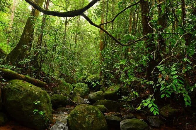 7 Days Private Guided Tour in Sri Lanka - Day 5: Kitulgala rafting plus Mirissa Beach downtime