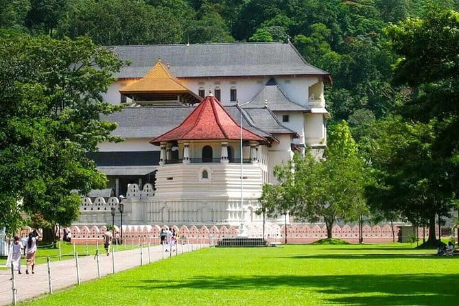7 Days Private Guided Tour in Sri Lanka - Day 6: Whale watching, Madu River Safari, and Bentota’s river-sea mix