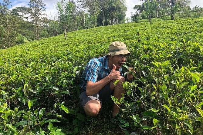 7 Days Sri Lanka Tour Chauffeur Wildlife and Heritage Adventure - Day 2: Sigiriya Lion Rock, village life by the lake, and Kandy’s cultural show