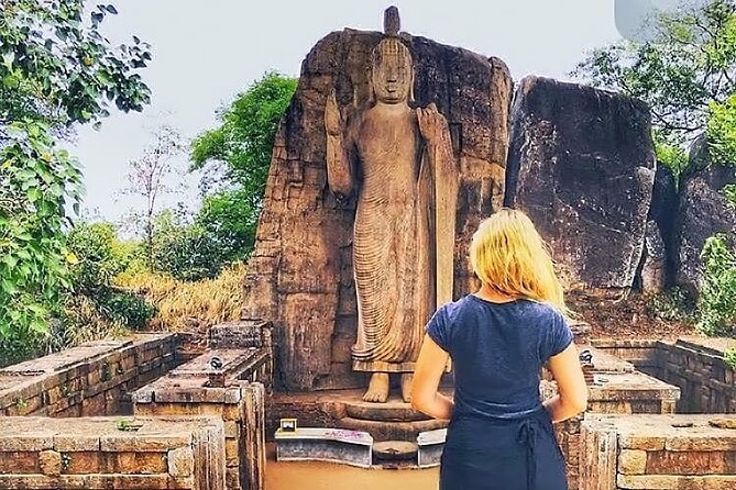7 Days Sri Lanka Tour package with Private Driver - Price and value: what $870 per person covers