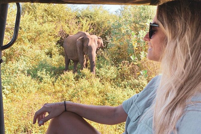 7 Days Tour in Sri Lanka Hotels with Breakfast and Luxury Car - Key highlights that make this tour worth a look