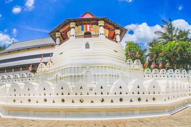 7 Nights Private Tour Of Sri Lanka - Day 4 Kandy City Sights, Royal Botanical Gardens, and the Route to Tea Country