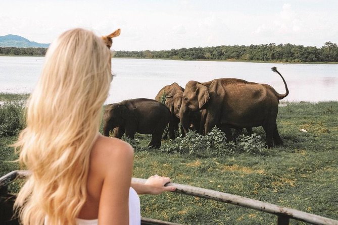 7 Nights Private Tour Of Sri Lanka - Day 5 Nuwara Eliya Time, Lovers Leap Falls, and Gregory Lake