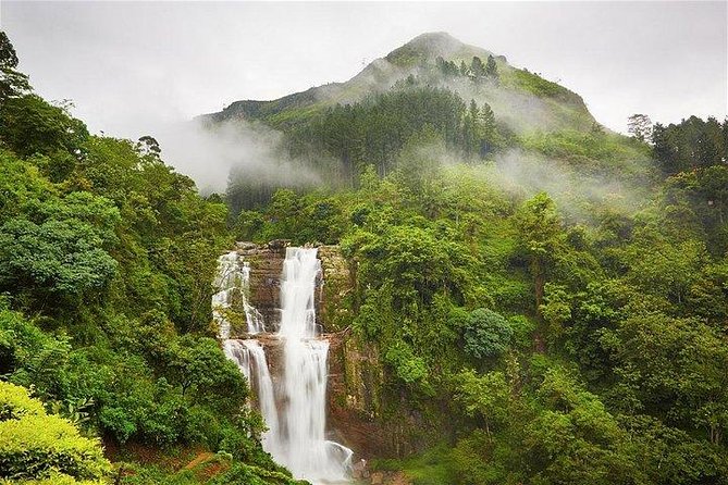 7 Nights Private Tour Of Sri Lanka - Day 7 Madu River Mangroves, Kosgoda Sea Turtles, and Colombo City Life