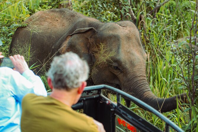 8 Day Private Sri Lanka Tour with Chauffeur - The real value: comfort and tickets bundled into one plan