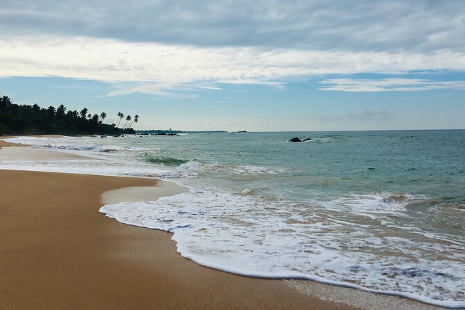 8 Day Private Sri Lanka Tour with Chauffeur - Day 5: Nanu Oya to Ella by train, Nine Arches Bridge, and Ravana Ella Falls