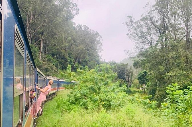 8 Day Private Sri Lanka Tour with Chauffeur - Day 6: Yala National Park by early jeep, then Galle Fort to Beruwala