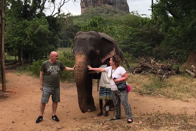 8 Days Private Guided Tour in Sri Lanka with accommodation (BB) - Price and what you actually get for around $890