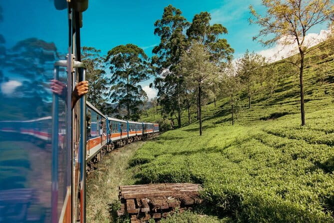 9 Days Guided Tour Through Sri Lanka - Landing in Negombo, starting with real Sri Lanka