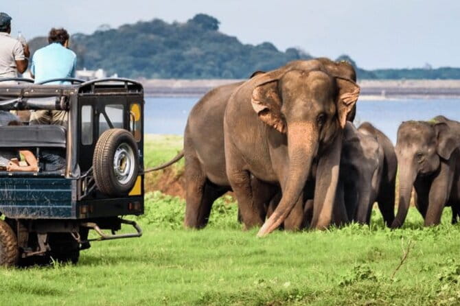 9 Days Guided Tour Through Sri Lanka - Sigiriya climbs, Hiriwadunna village time, and Polonnaruwa’s calm scale