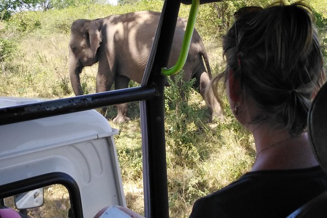 A Udawalawa Park safari, Tour from Colombo/Galle- (All inclusive) - Key points to know before you go