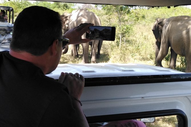 A Udawalawa Park safari, Tour from Colombo/Galle- (All inclusive) - Udawalawe from Colombo: a one-day elephant plan that actually fits