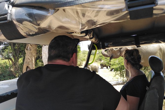 A Udawalawa Park safari, Tour from Colombo/Galle- (All inclusive) - What you can realistically spot from the 4WD jeep