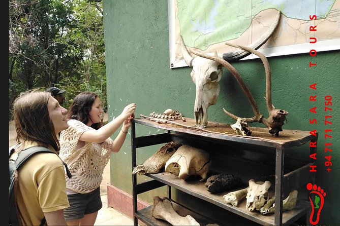 A Udawalawa Park safari, Tour from Colombo/Galle- (All inclusive) - Stop 1 focus: why the grasslands routine works for wildlife